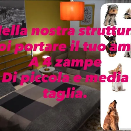 Mario's House Frühstückspension 4*